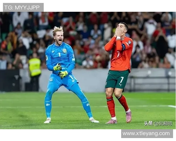 舍什科膝伤困扰或将缺席斯洛文尼亚世预赛征战