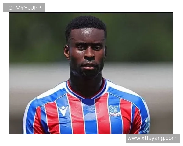 阿兰帕杜分析格伊转会前景皇萨仁或提前签约更具优势 阿兰帕杜分析格伊转会前景皇萨仁或提前签约更具优势