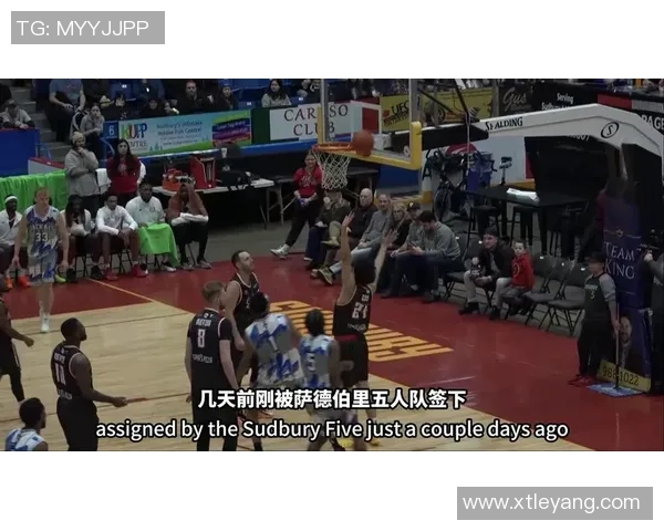 官方宣布管子煜租借至加拿大BSL联赛Sudbury5球队助力新赛季